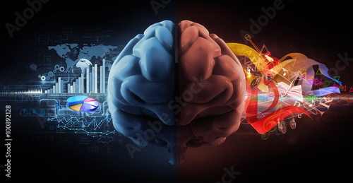 left and right brain functions