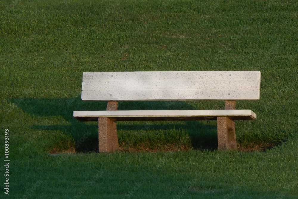 Bench in Park Bench in Park