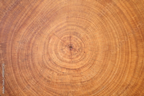 background of wooden cut texture
