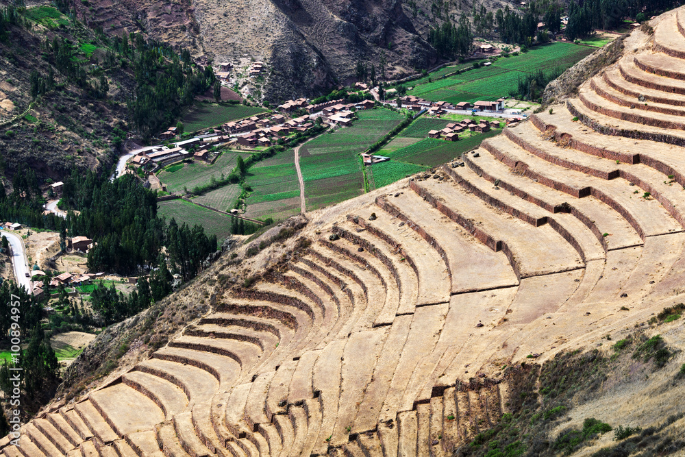 dried grass in the ancient terraces
