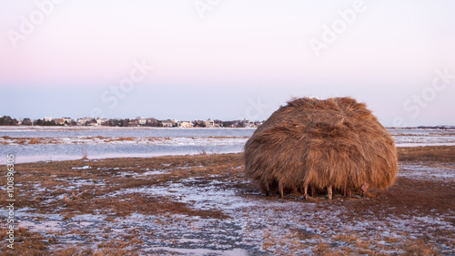 Salt marsh haystack