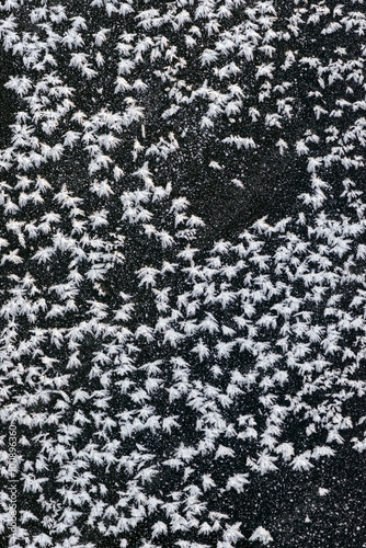 White frost formations on b...