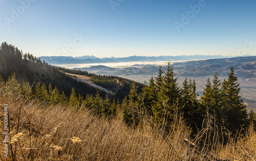 Amazing mountains landscape with grass and trees in foreground and Alps in background.