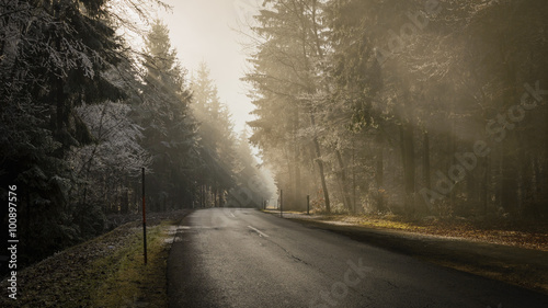 Wet  asphalt forest road in winter foggy day.