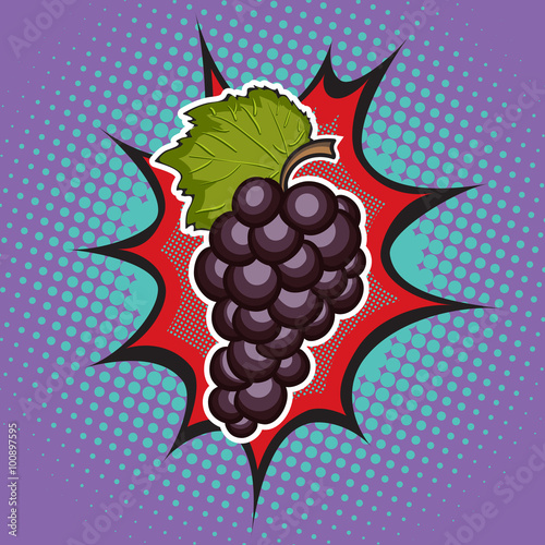 Vector grapes. Art.