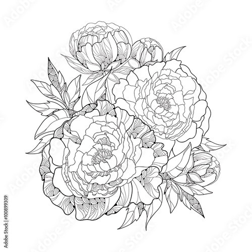 Round bouquet with five ornate peony flower and leaves isolated on white background. Floral elements in contour style.