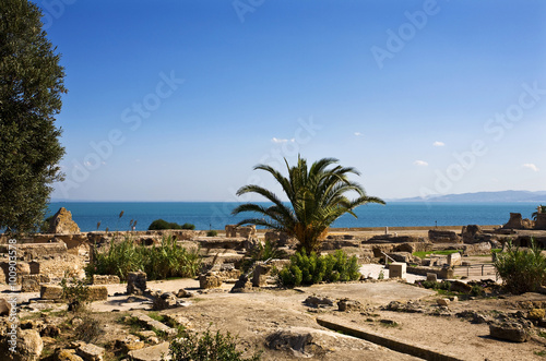 Tunisia. Ancient Carthage. Fragment of Archaeological Park. The Antonine Baths in background