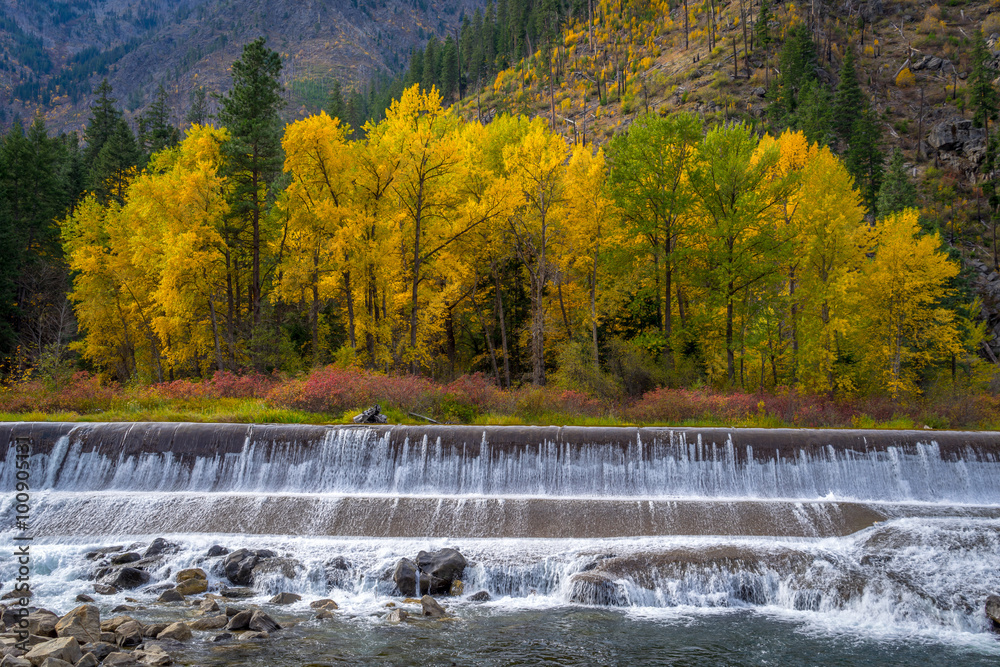 Fototapeta premium Wenatchee River near Leavenworth, Late October