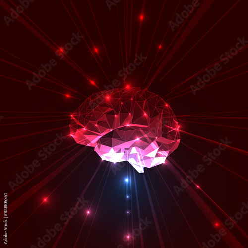 Abstract Vector Brain