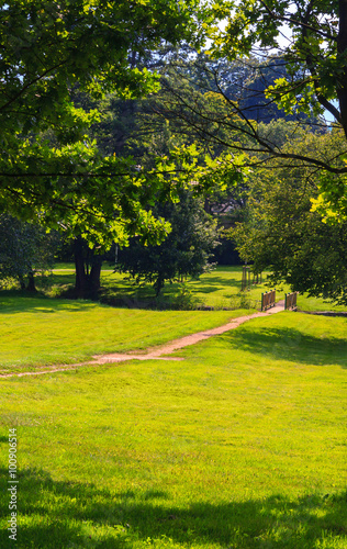 Green summer park