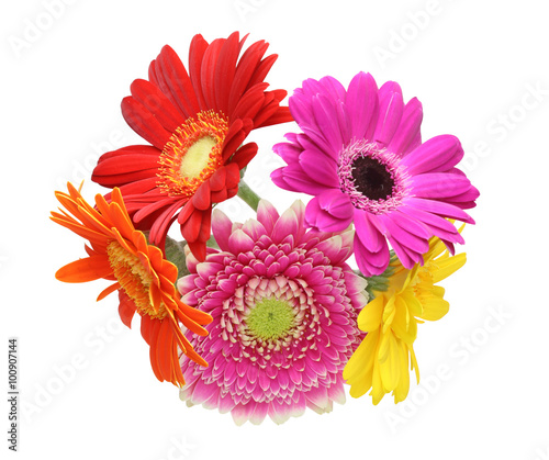 Fototapeta Naklejka Na Ścianę i Meble -  ガーベラ