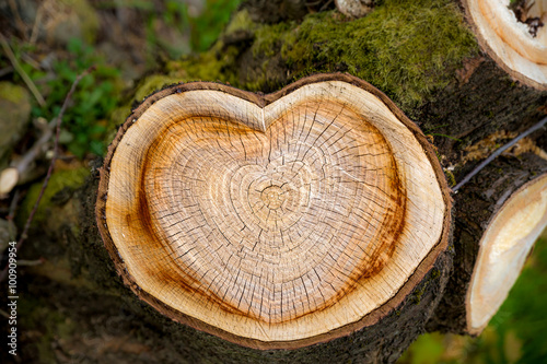 Herz auf Baumstamm
