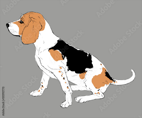 vecor image og sitting dog