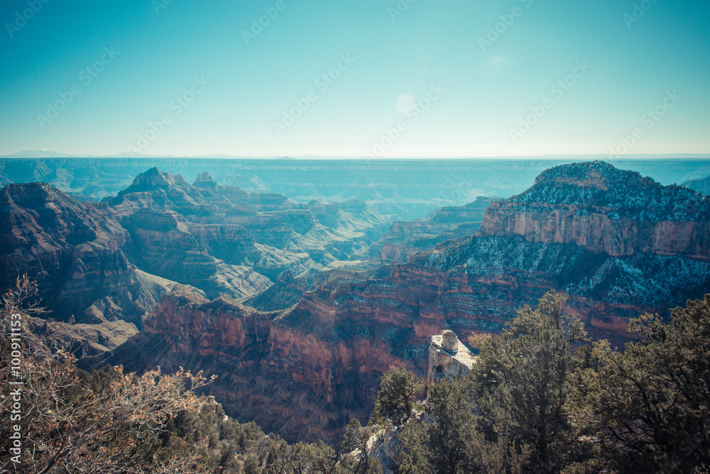 North rim Grand canyon view in vintage style