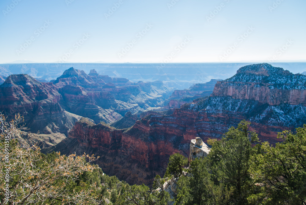 North rim Grand canyon view