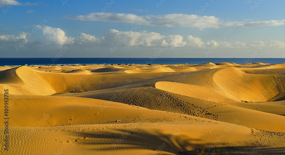Maspalomas Beach. Gran Canaria.
