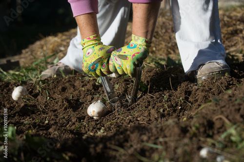 Bulb planter photo