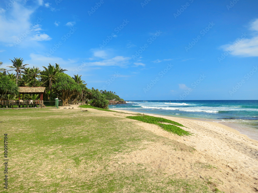 Greens at the empty beach in Weligama bay, Sri Lanka