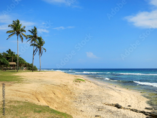Fototapeta Naklejka Na Ścianę i Meble -  Green palms at empty beach in Weligama bay, Sri Lanka