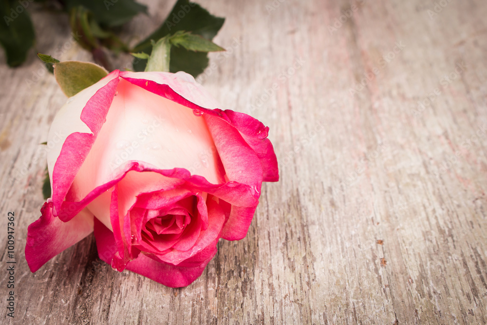 red rose flower on wooden background red rose flower on wooden background
