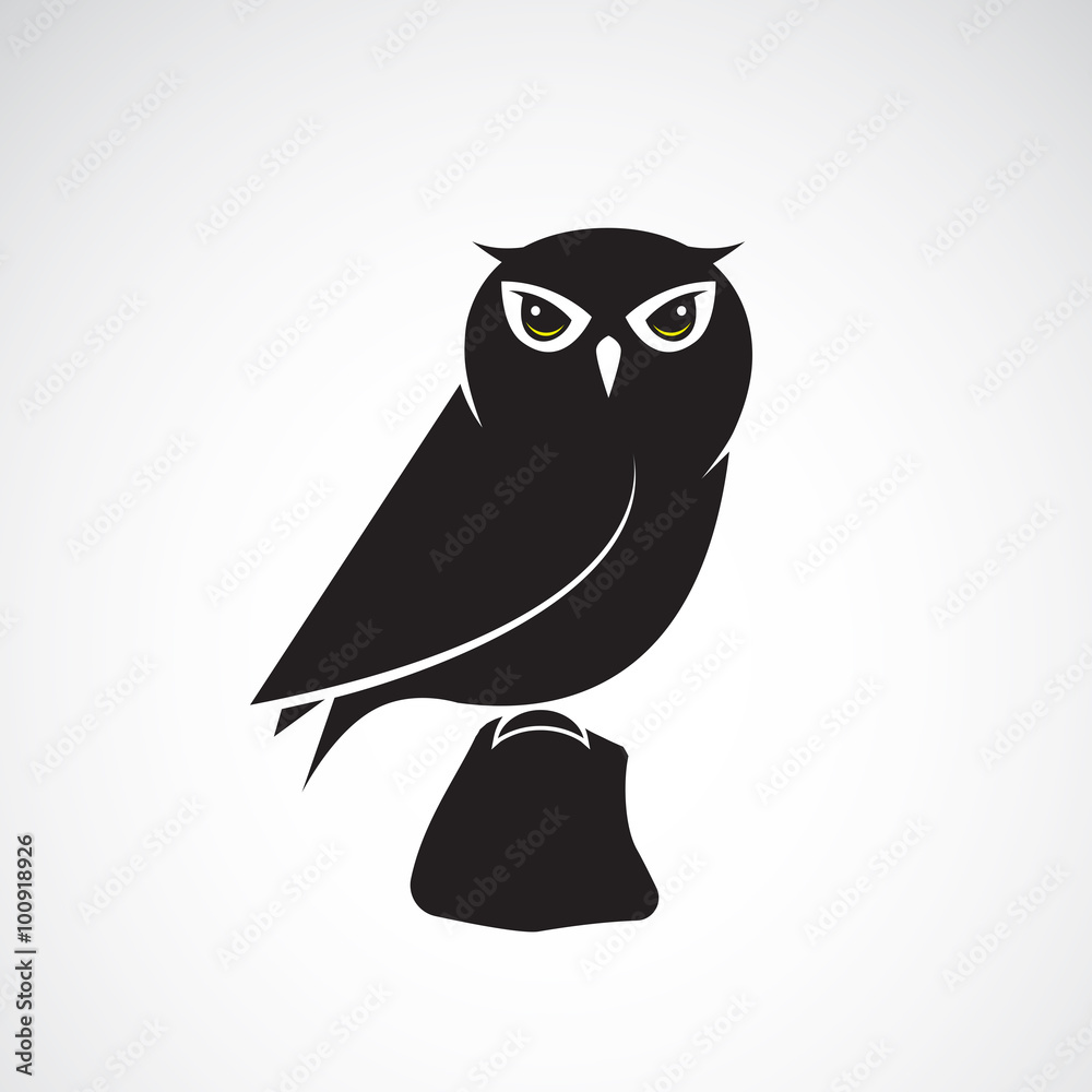Vector image of an owl design on white background Stock Vector | Adobe