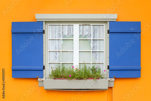 Window with flower and blue shutters open on yellow wall