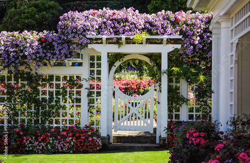 Slika na platnu Botanical garden white fence with gate and blooming flowers