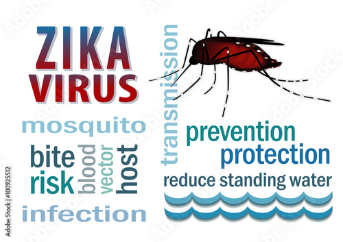 Zika Virus mosquito over standing water graphic illustration with word cloud text.