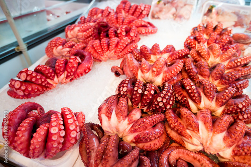 Octopus in Japanese wet market photo