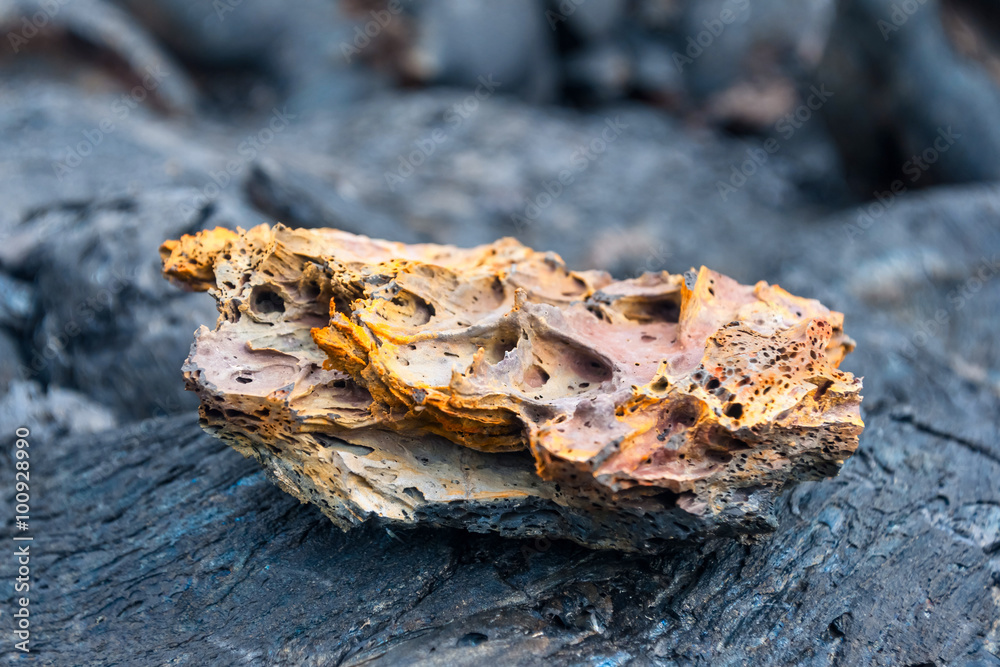 lava field, sinter, tufa, pumice in Kamchatka lava field, sinter, tufa, pumice in Kamchatka
