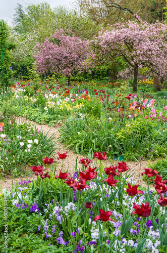 Fototapeta Naklejka Na Ścianę i Meble -  Beautiful Claude Monet's garden in Giverny in spring