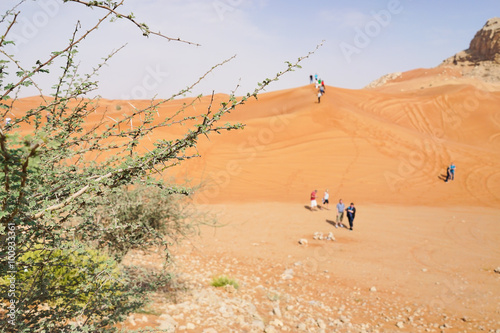 Touristen in der Wüste © ThomBal