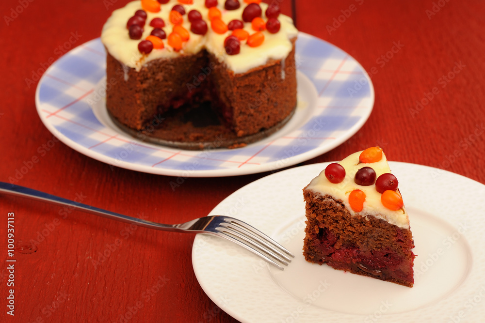 Yummy chocolate cake with fresh cranberries, sea-buckthorn and i