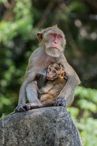 Mother feeding her baby © PK4289