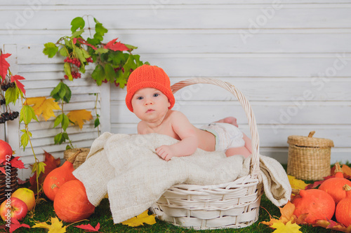 baby in the basket with pumpkins. autumn photo