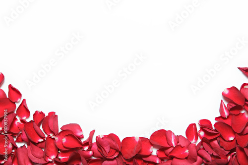 Beautiful red roses petals  on white background. Valentine's Day, anniversary etc background.