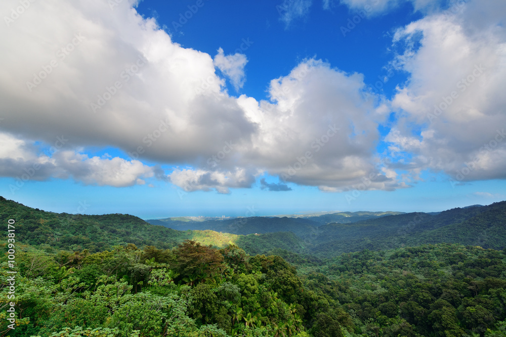 Tropical rain forest in San Juan