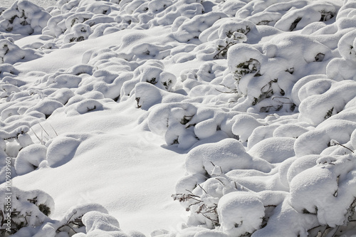 Schneeteppich  photo