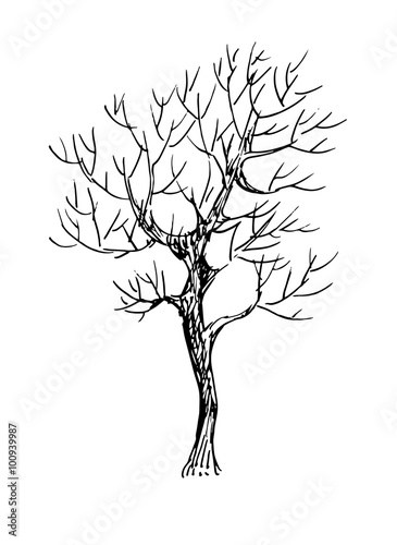Black and white sketch of a tree. Vector illustration