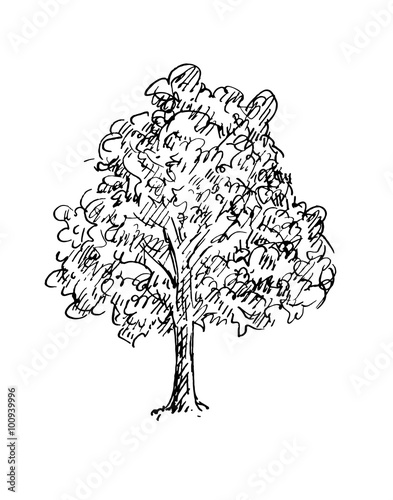 Black and white sketch of a tree. Vector illustration