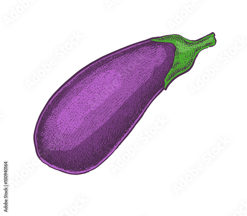 Hand drawn sketchy style colorful raubergine (egg-plant).