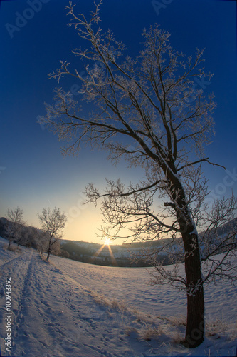 Winterlicher Sonnenaufgang im Sauerland