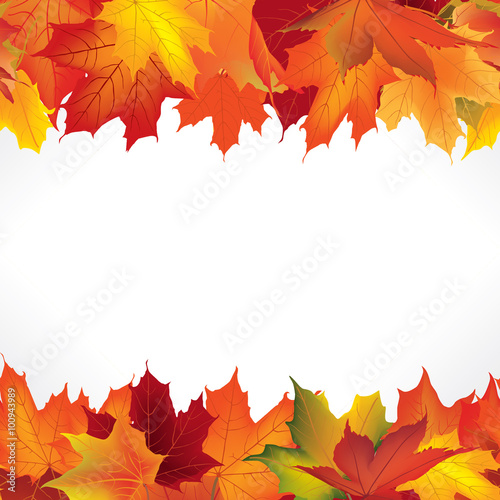 Autumn frame with maple leaves. Fall seamless border background with copy space