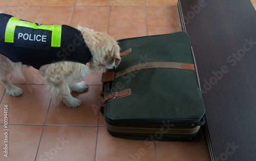 Police dog with distinctive photo