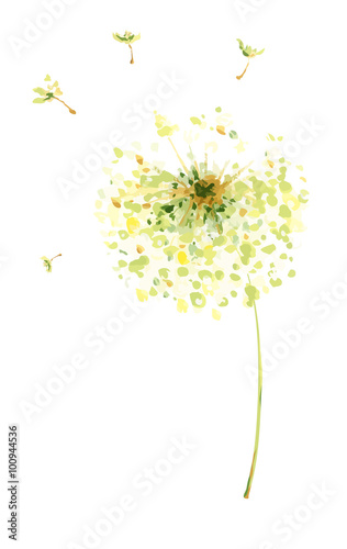 Painting, drawing, vector illustration - air dandelions