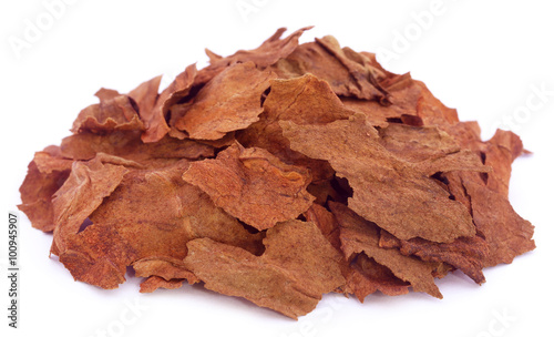 Dry tobacco leaves