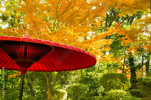 Autumn leaves in the Japanese garden.red paper umbrella  Zen