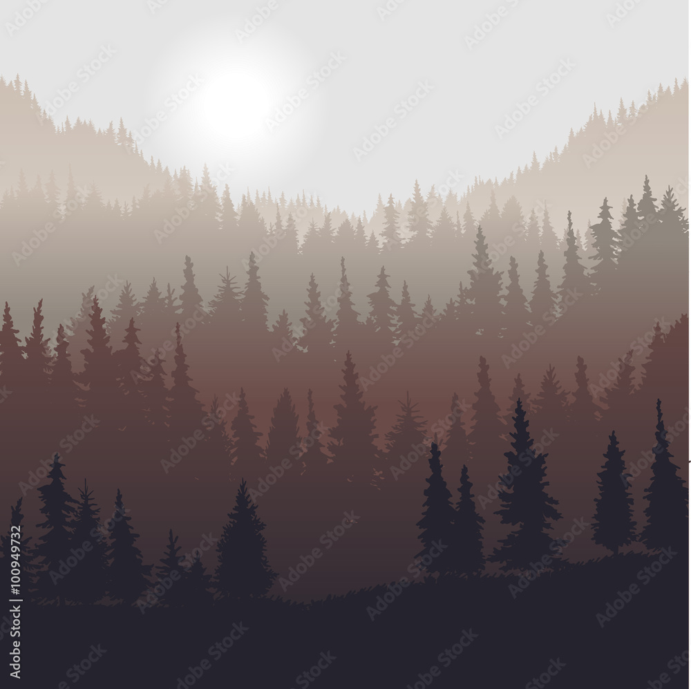 landscape with fir trees
