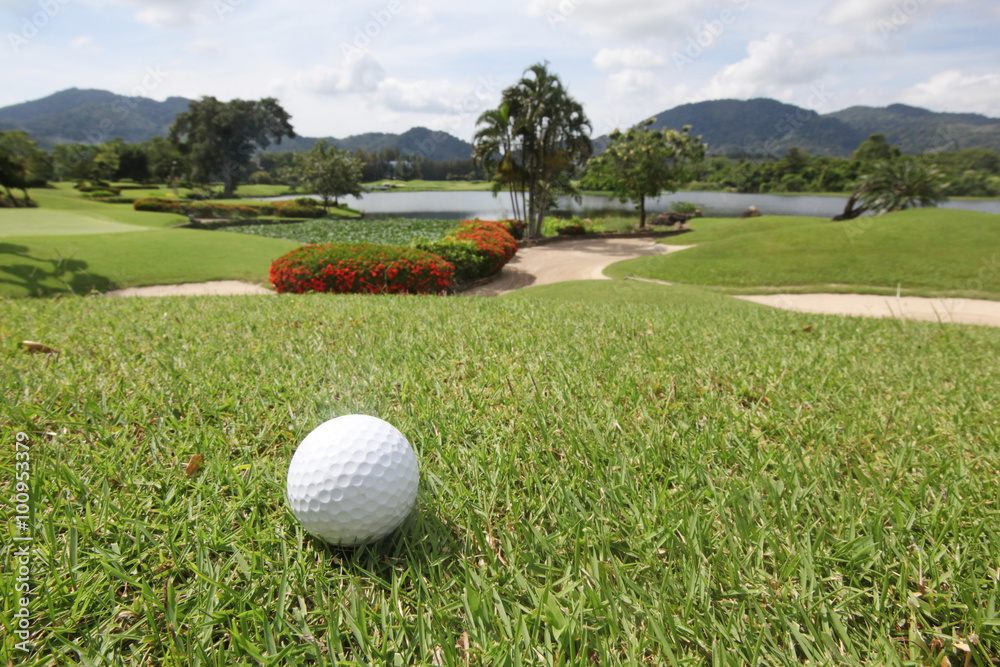 Fototapeta premium Golfball on grass