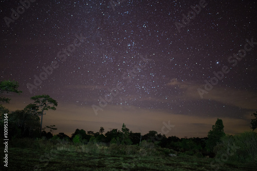 The Milky Way and some trees. In the mountains of Phukradung Tha